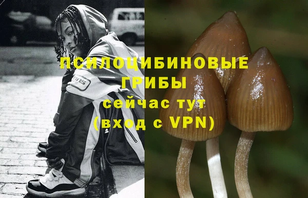 крисы Белокуриха