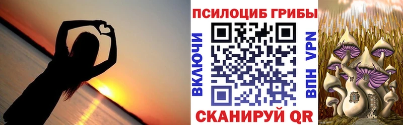 Галлюциногенные грибы мицелий  купить наркотики сайты  Гатчина 